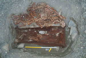 Wooden outer coffin, Tomb No. 3 