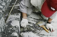 Cleaning Dabotap Pagoda waterway at Bulguksa Temple, Gyeongju image