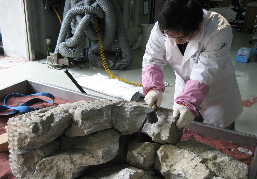 부재 접합(비신)