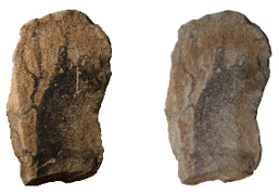 예비세척 결과 - 결정손상