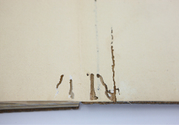 폴리우레탄 폼 발포