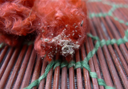 금전지 재질 분석을 위한 XRF조사