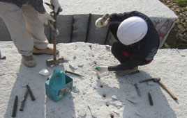 사리공 및 심주(2009.01.14)