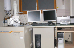 Scanning electron microscope