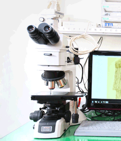 Biological microscope