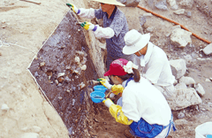 Resin application for the copy