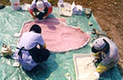 Division of boundaries