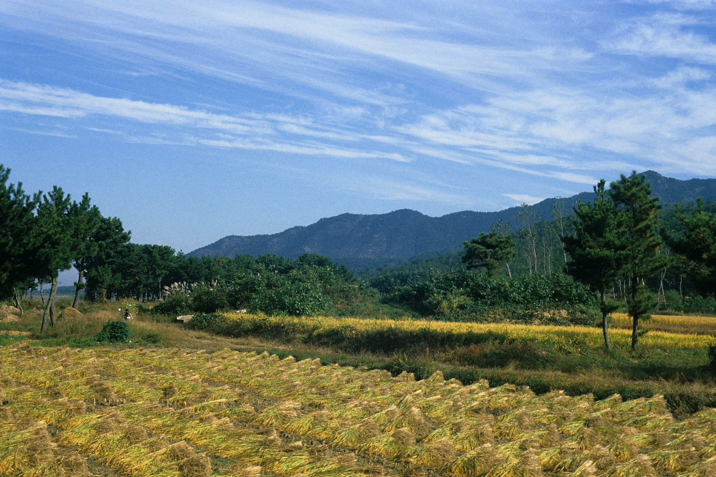 학산 상월리 지석묘군(鶴山 上月里 支石墓群)② 이미지 입니다.